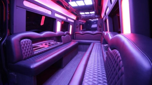 citrus heights sprinter limo rental inside